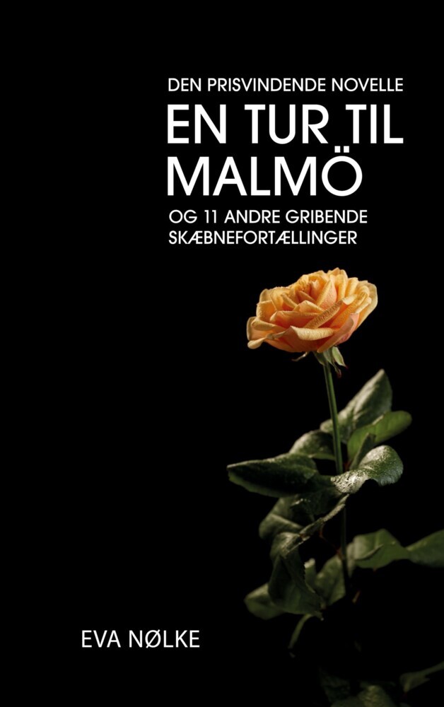 En tur til Malmö main product photo