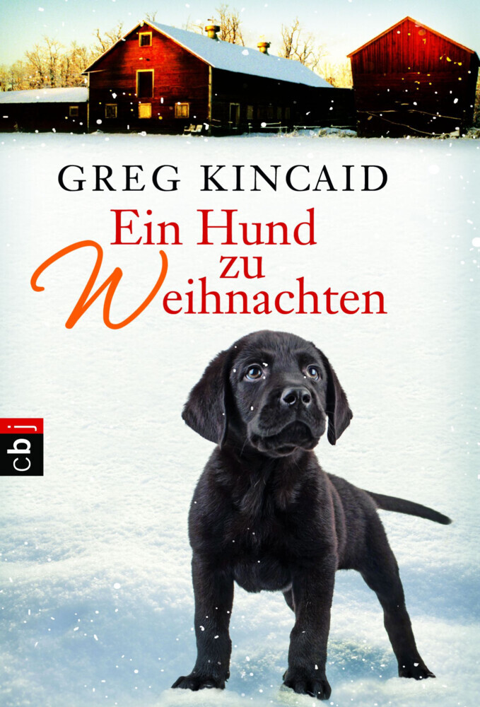 Ein Hund zu Weihnachten main product photo