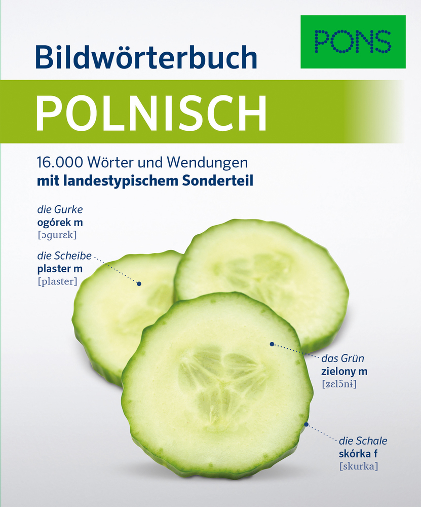 PONS Bildwörterbuch Polnisch main product photo
