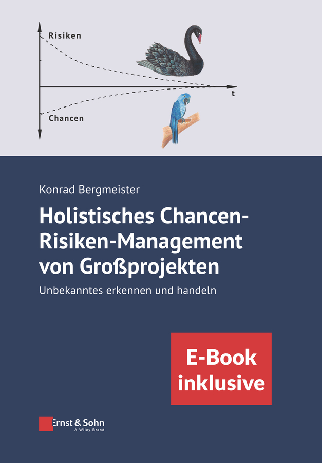 Holistisches Chancen-Risiken-Management von Großprojekten main product photo