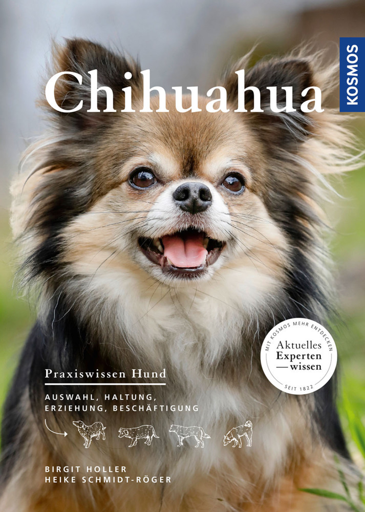 Chihuahua main product photo