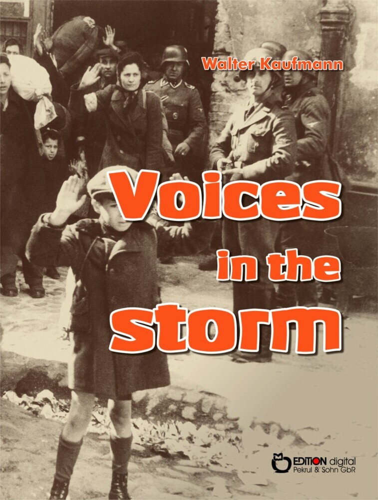 Voices in the Storm main product photo