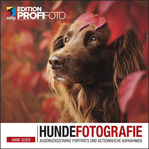 Hundefotografie main product photo