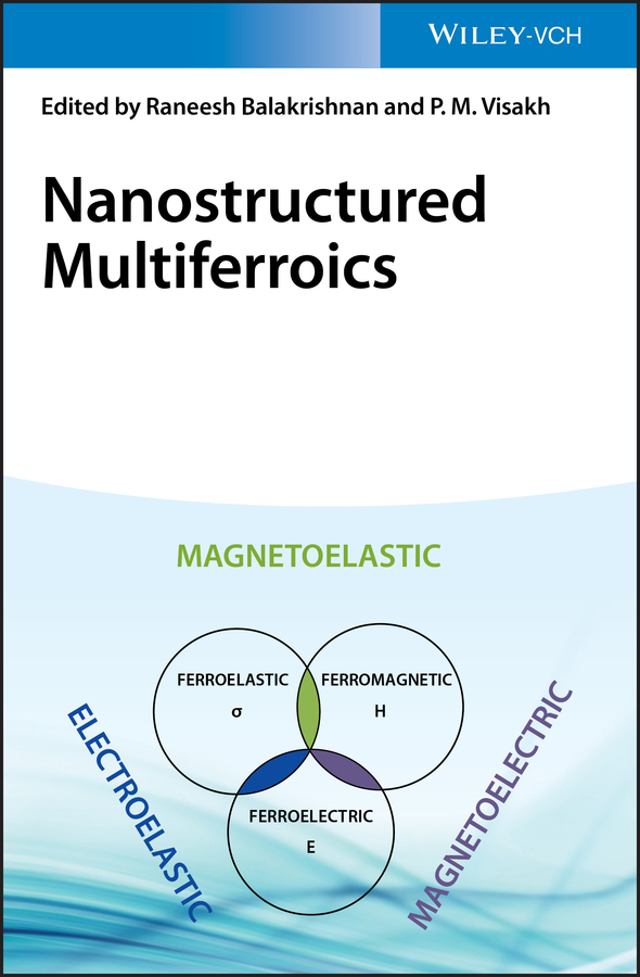 Nanostructured Multiferroics main product photo