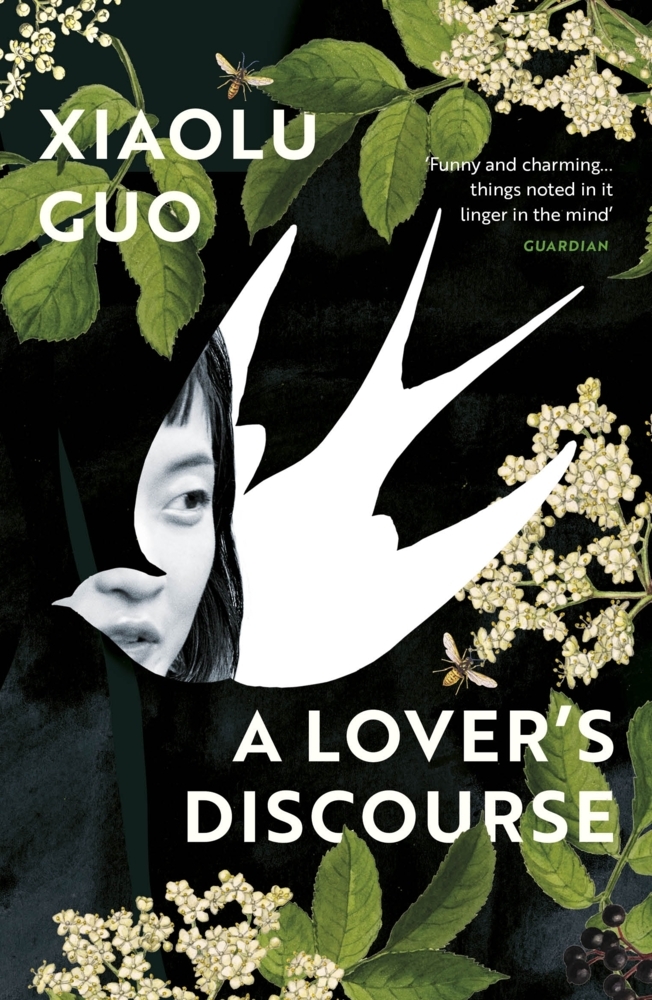 A Lover's Discourse main product photo