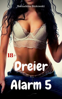 Dreier Alarm 5