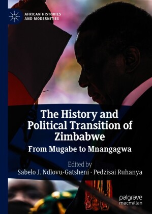 The History and Political Transition of Zimbabwe