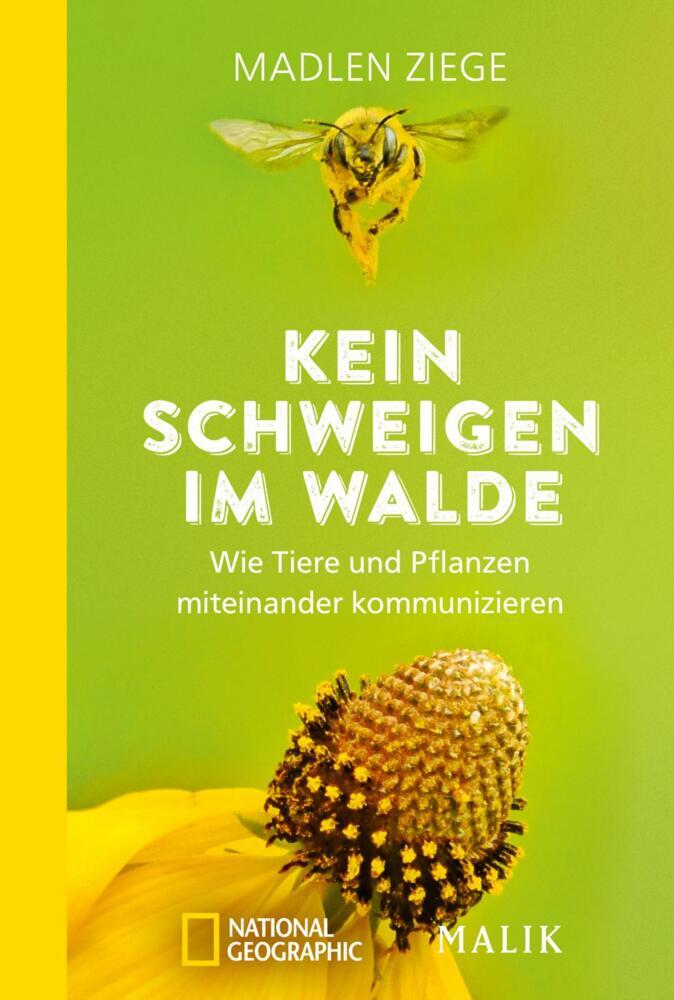 Kein Schweigen im Walde main product photo