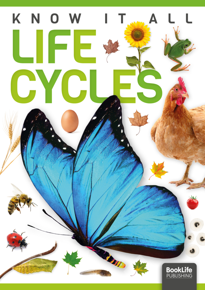 Know It All: Life Cycles main product photo