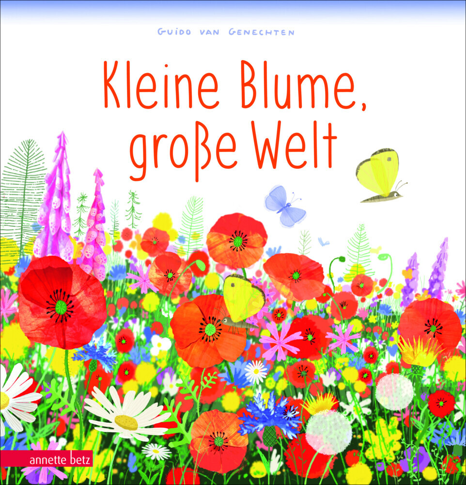 Kleine Blume, große Welt main product photo