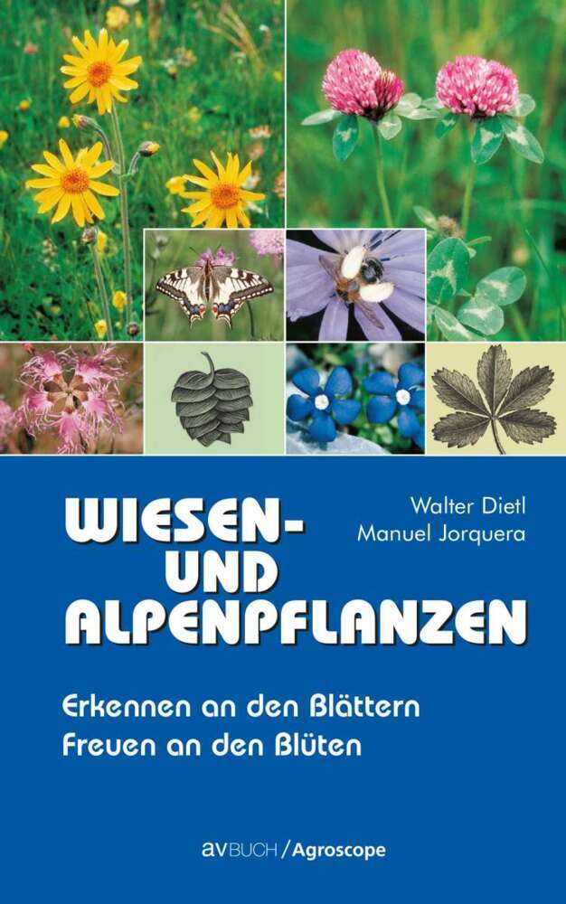 Wiesen- und Alpenpflanzen main product photo