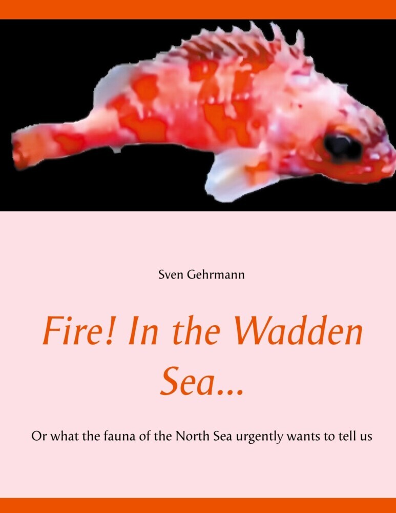 Fire! In the Wadden Sea... main product photo