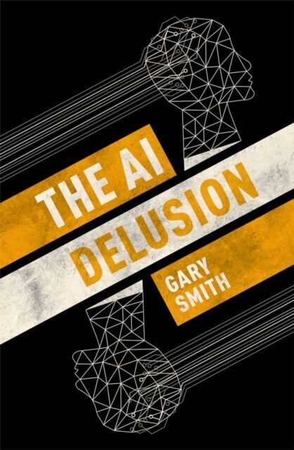 AI Delusion main product photo