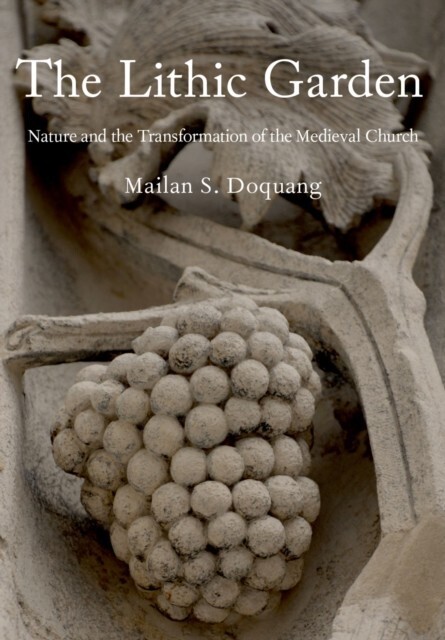 Lithic Garden main product photo