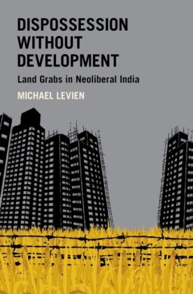 Dispossession without Development