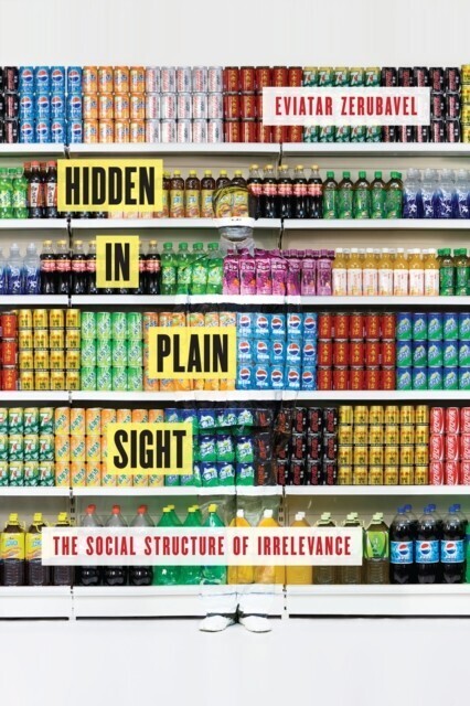 Hidden in Plain Sight main product photo