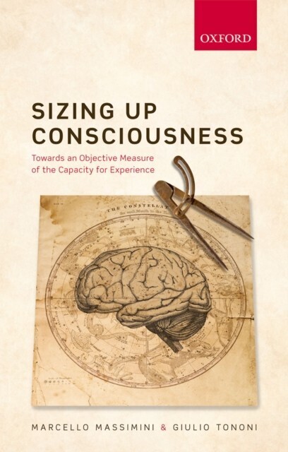 Sizing up Consciousness main product photo