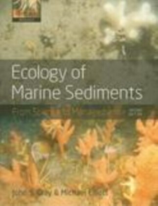 Ecology of Marine Sediments