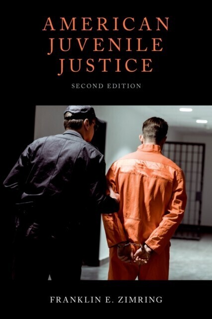 American Juvenile Justice main product photo