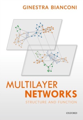 Multilayer Networks