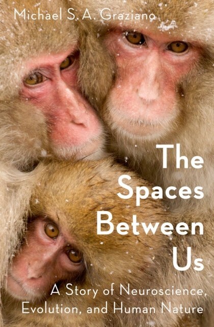 Spaces Between Us main product photo
