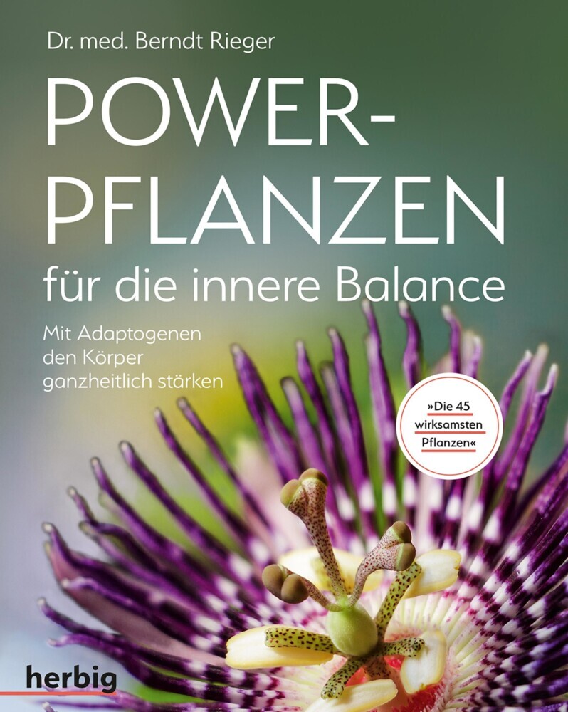 Powerpflanzen für die innere Balance main product photo