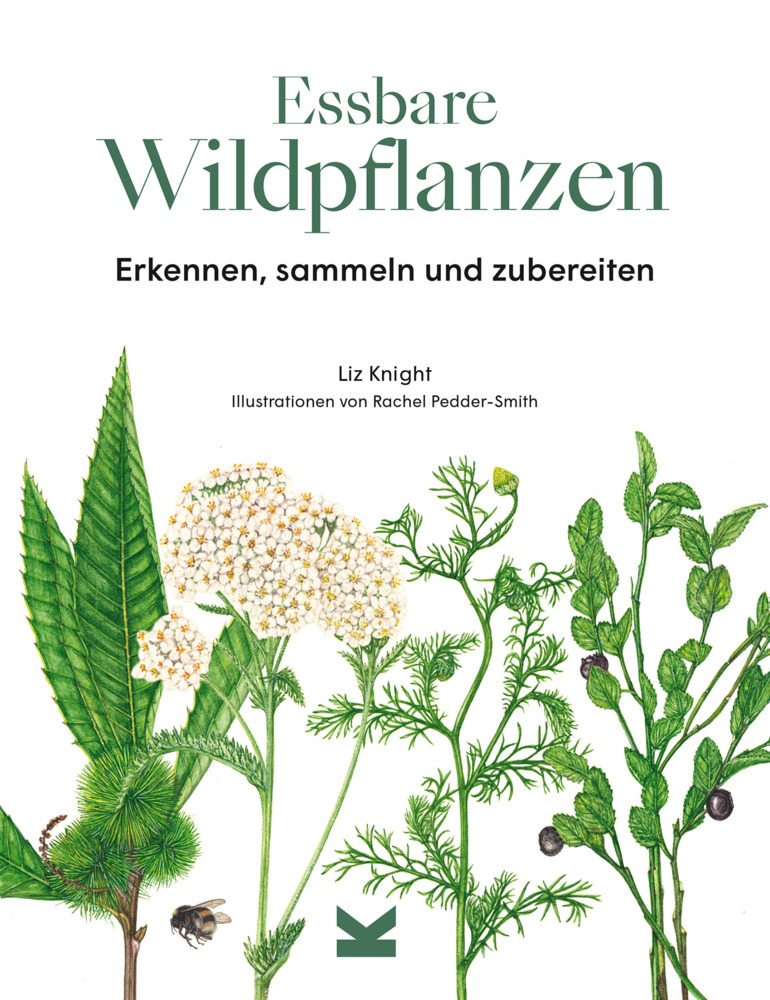 Essbare Wildpflanzen main product photo