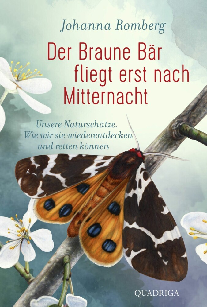 Der Braune Bär fliegt erst nach Mitternacht main product photo