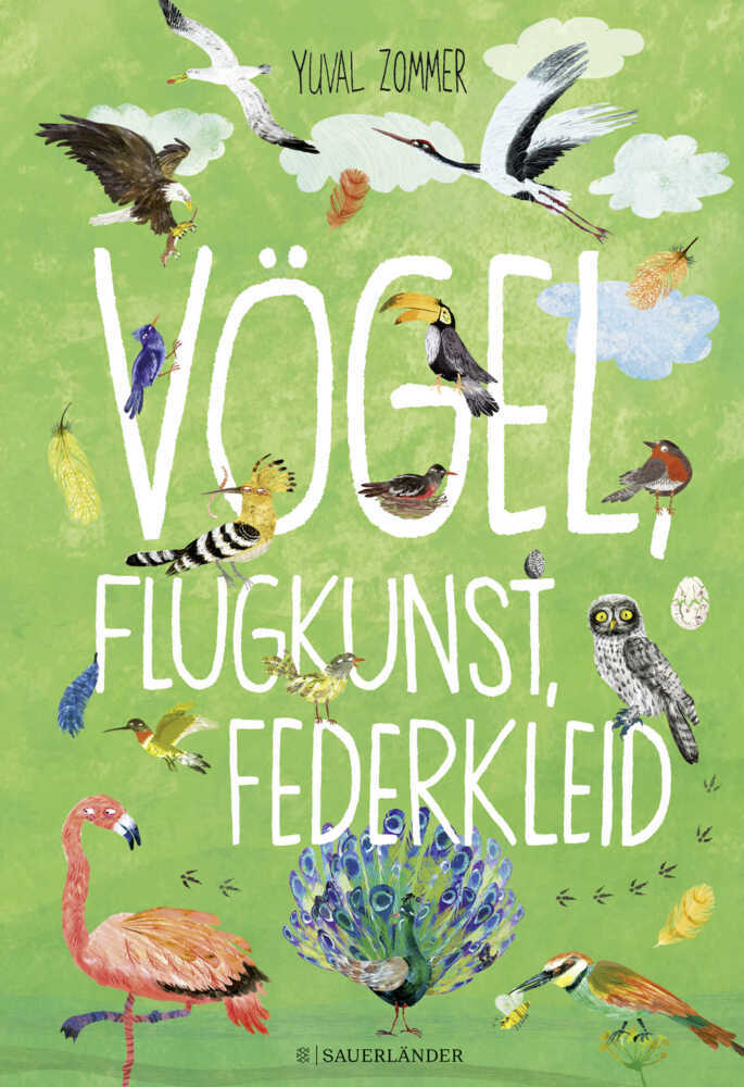 Vögel, Flugkunst, Federkleid main product photo
