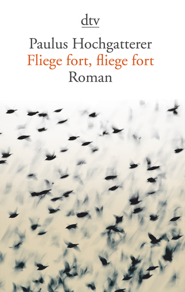 Fliege fort, fliege fort main product photo