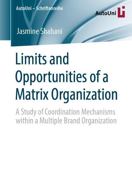 Limits and Opportunities of a Matrix Organization main product photo