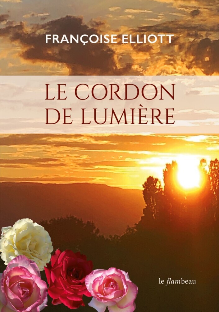 Le cordon de lumière main product photo