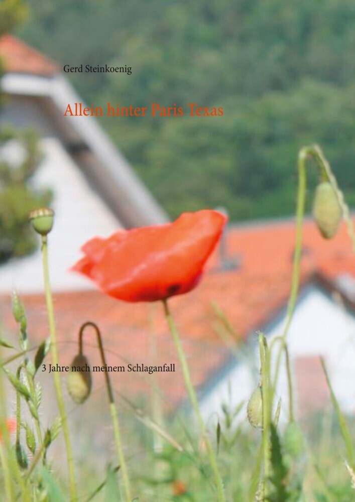 Allein hinter Paris Texas main product photo