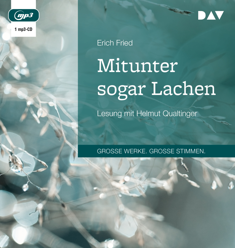 Mitunter sogar Lachen, 1 Audio-CD, 1 MP3 main product photo
