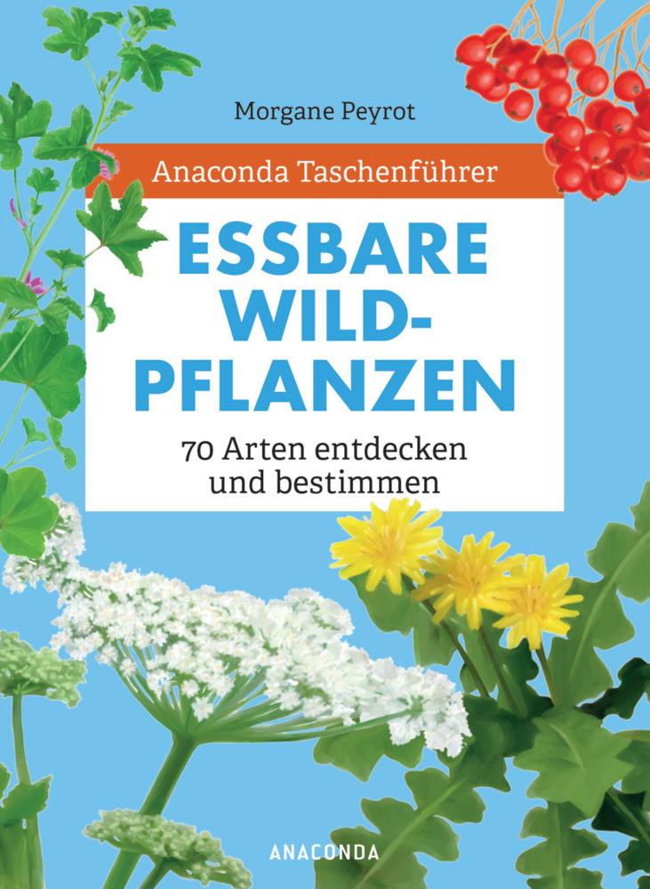 Anaconda Taschenführer Essbare Wildpflanzen. 70 Arten entdecken und bestimmen - main product photo