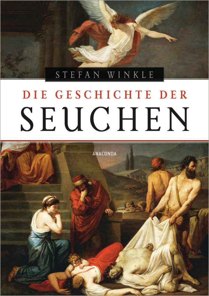 Die Geschichte der Seuchen main product photo