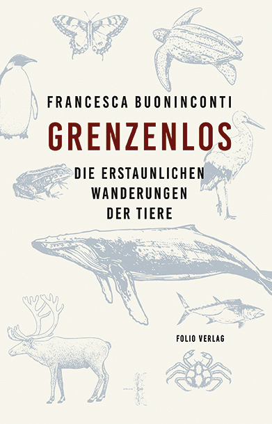 Grenzenlos main product photo