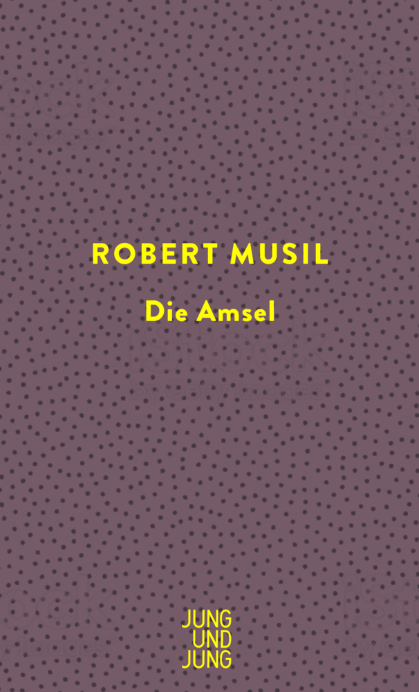 Die Amsel main product photo