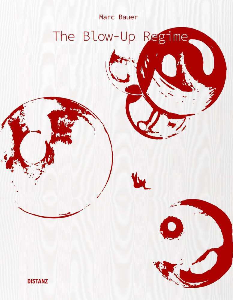 The Blow-Up Regime main product photo