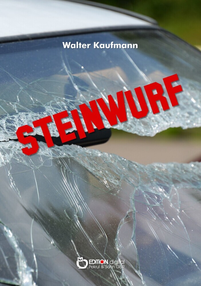 Steinwurf main product photo