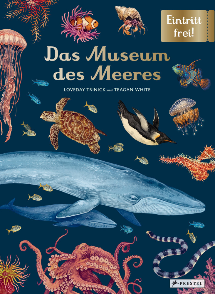 Das Museum des Meeres main product photo