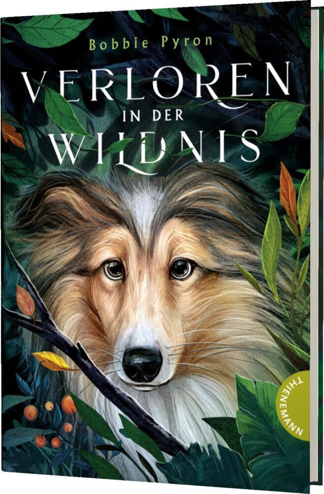 Verloren in der Wildnis main product photo