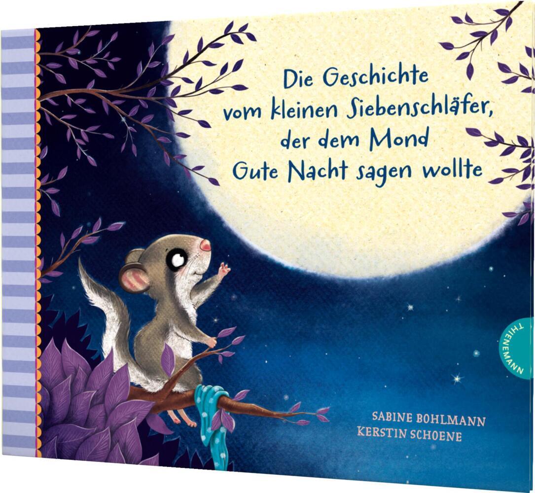 Der kleine Siebenschläfer 6: Die Geschichte vom kleinen Siebenschläfer, der dem Mond Gute Nacht sagen wollte main product photo