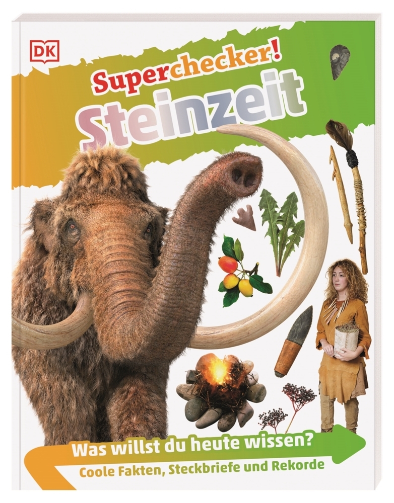 Superchecker! Steinzeit main product photo