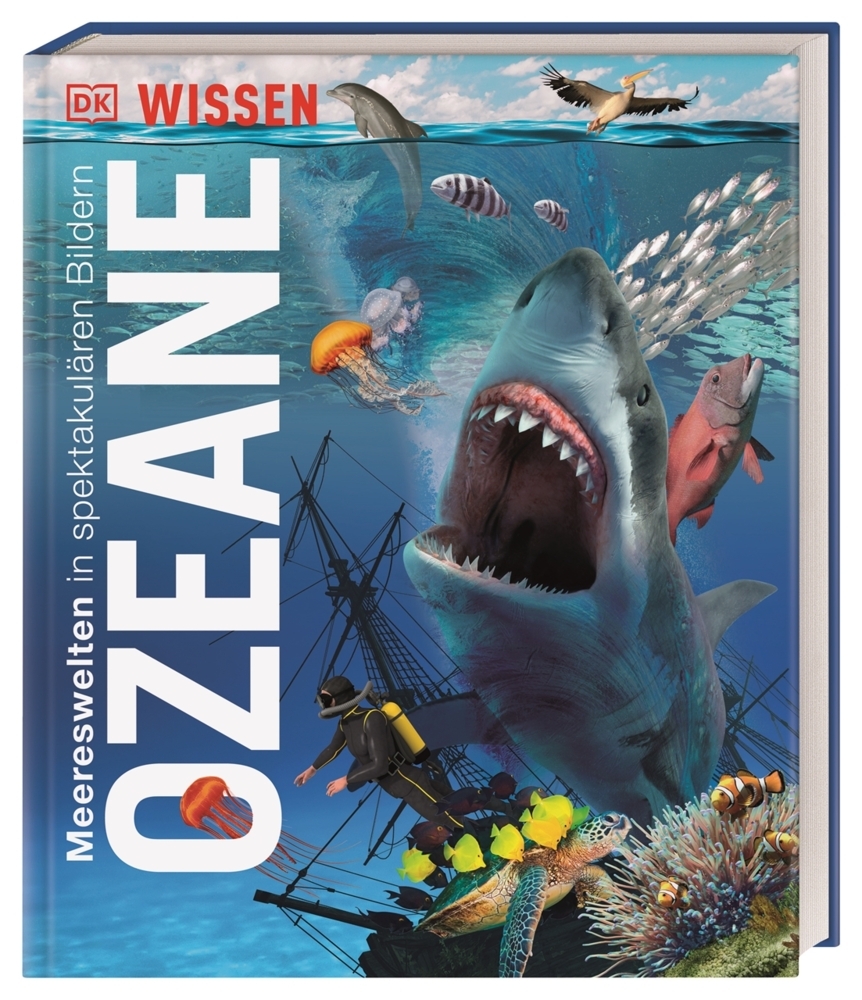 DK Wissen. Ozeane main product photo