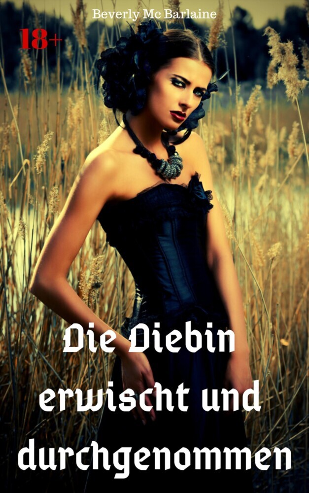 Die Diebin erwischt und durchgenommen main product photo