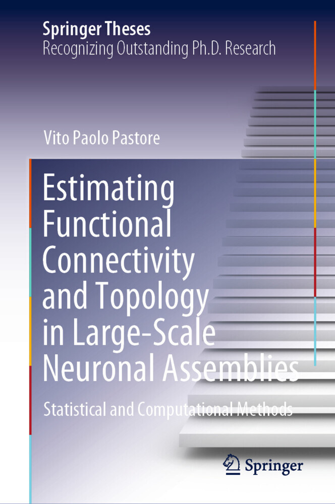 Estimating Functional Connectivity and Topology in Large-Scale Neuronal Assemblies main product photo