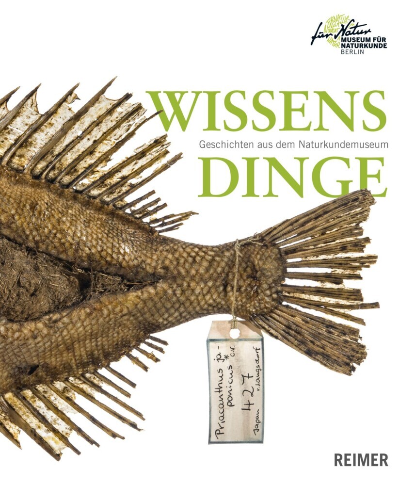 Wissensdinge main product photo
