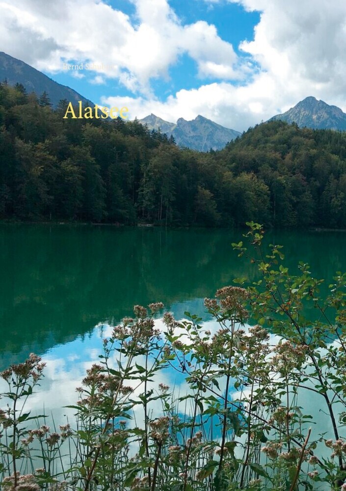 Alatsee main product photo