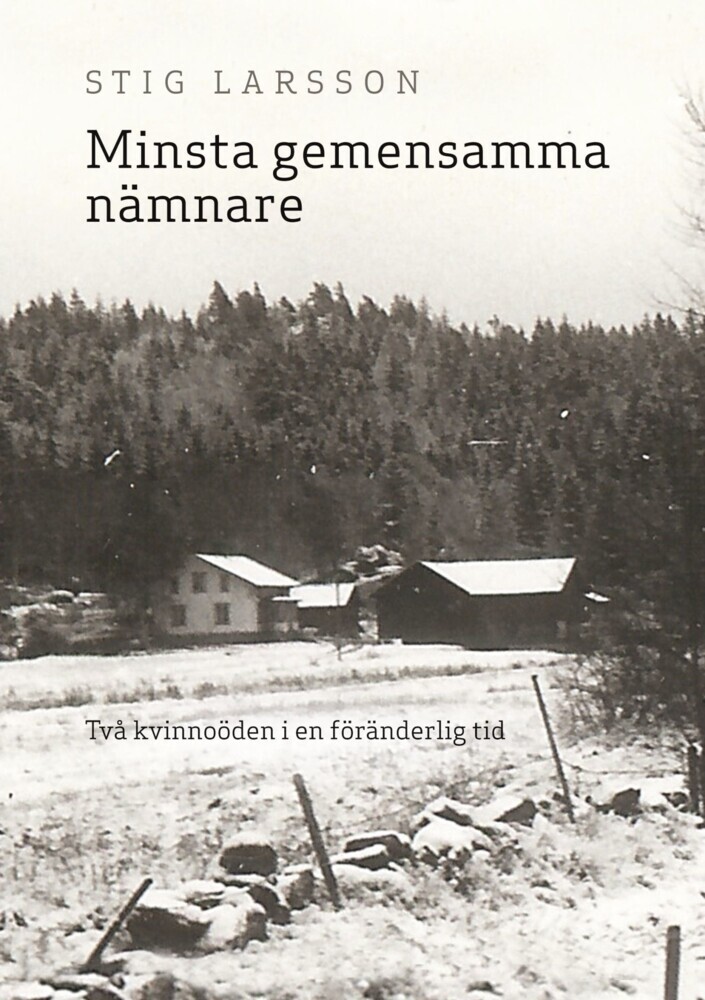 Minsta gemensamma nämnare main product photo